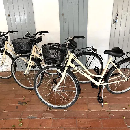 La Margherita Con Parcheggio Privato Gratuito E Biciclette