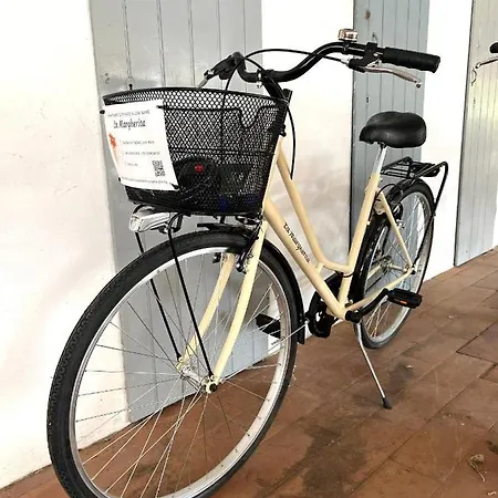 La Margherita Con Parcheggio Privato Gratuito E Biciclette Lejlighed