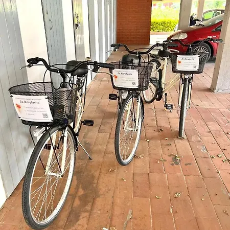 La Margherita Con Parcheggio Privato Gratuito E Biciclette 아파트 마리넬라 디 사르차나